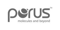 Porus Molecules and beyond