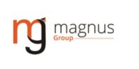 Magnus Groups