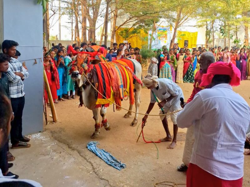 basava activities at anurag pharmacy college