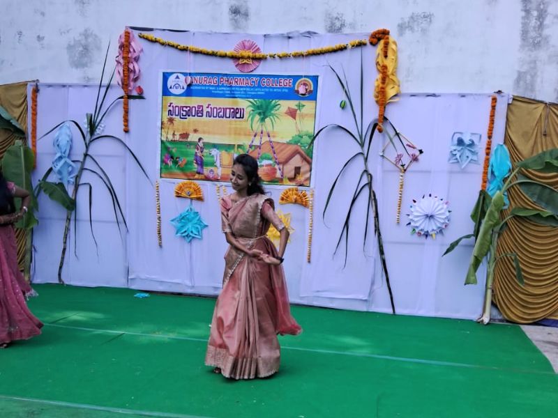 pongal festival celebrations